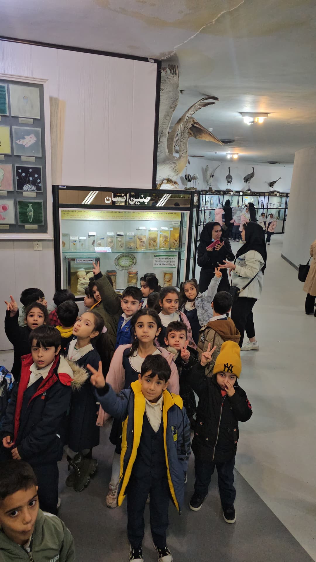 تصویر مقاله